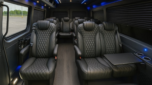 carson city sprinter van with driver inside
