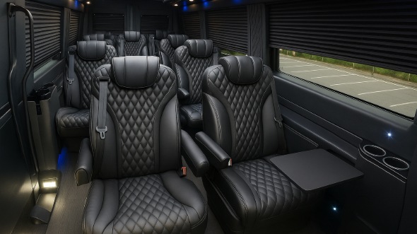 carson city sprinter van with driver rental
